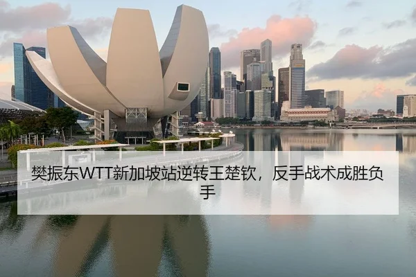 樊振东WTT新加坡站逆转王楚钦，反手战术成胜负手