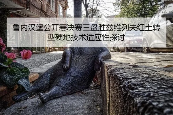 lu-nei-han-bao-gong-kai-sai-jue-sai-san-pan-sheng-zi-wei-lie-fu-hong-tu-zhuan-xing-ying-di-ji-shu-shi-ying-xing-tan-tao-2-687.jpg