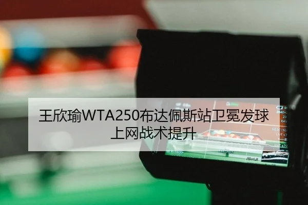 wang-xin-yu-bu-da-pei-si-zhan-wei-mian-fa-qiu-shang-wang-zhan-shu-ti-sheng-3-246.jpg